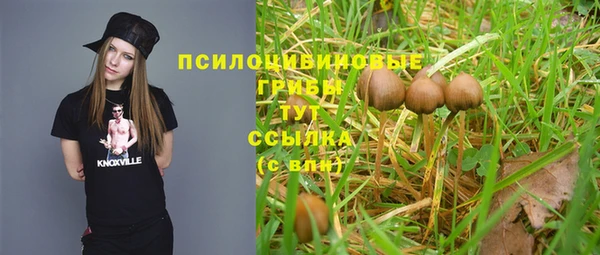 сатива Ельня