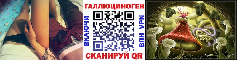 Галлюциногенные грибы Psilocybe  Болгар 